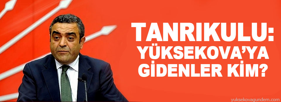 Tanrıkulu: Yüksekova'ya gidenler kim?