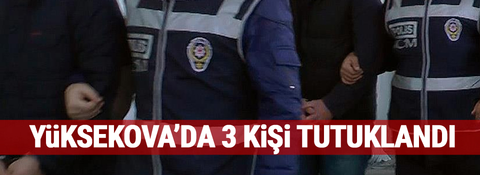 Yüksekova'da 3 kişi tutukladı