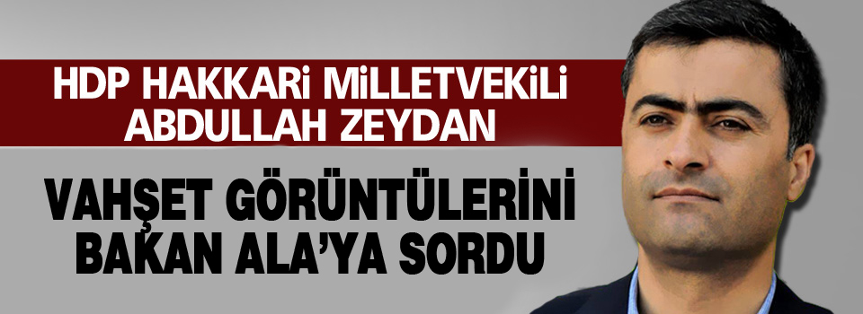 HDP'li Zeydan, vahşet görüntülerini Bakan Ala'ya sordu