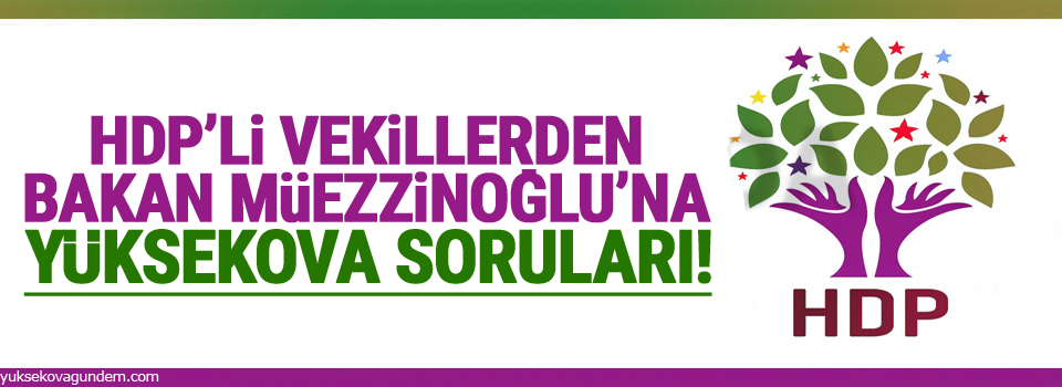 HDP'li vekillerden Bakan Müezzinoğlu'na Yüksekova soruları