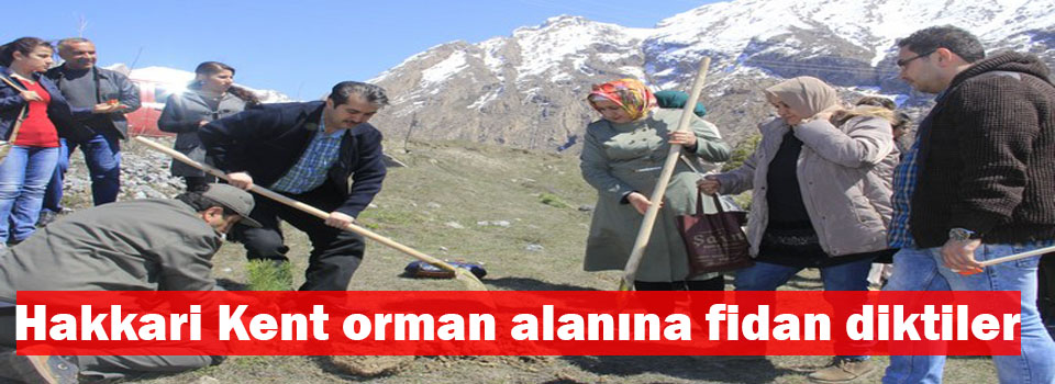 Hakkari Kent orman alanına fidan diktiler