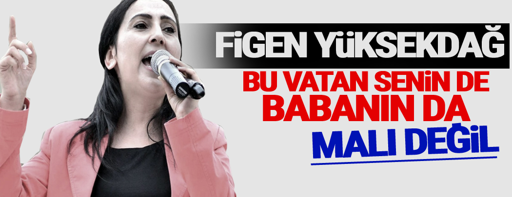 Yüksekdağ'dan Cumhurbaşkanı'na: Bu vatan senin de babanın da malı değil