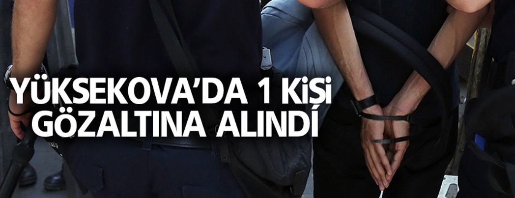 Yüksekova'da 1 Kişi Gözaltına alındı