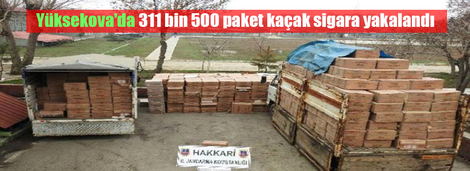 Yüksekova'da 311 Bin 500 Paket Kaçak Sigara Yakalandı