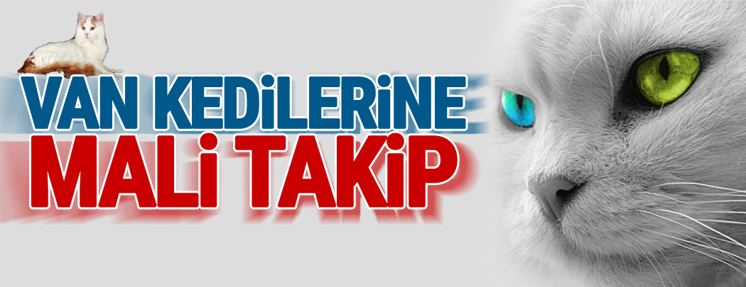 Van kedilerine mali takip