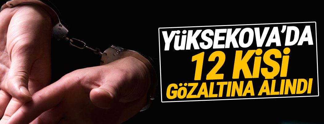 Yüksekova'da 12 kişi gözaltına alındı