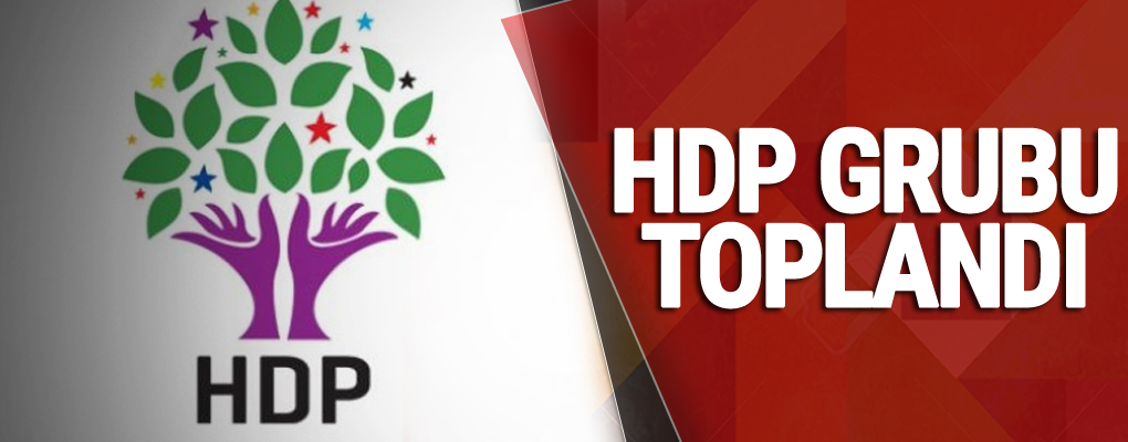 HDP grubu toplandı