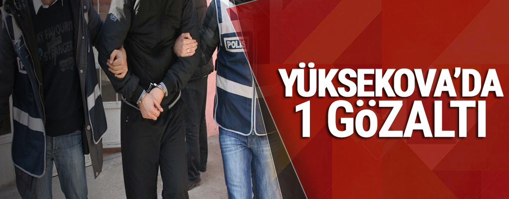 Yüksekova'da 1 gözaltı