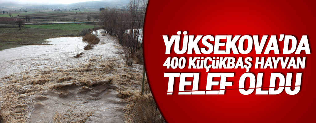 Yüksekova’da 400 Küçükbaş hayvan telef oldu