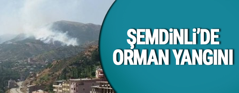 Şemdinli'de orman yangını