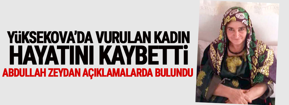 Yüksekova'nın Büyükçiftlik beldesinde vurulan kadın hayatını kaybetti