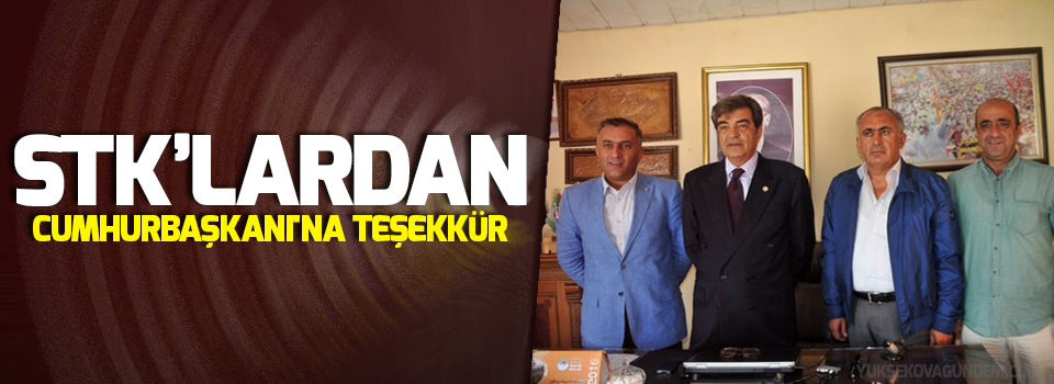 Yüksekova’daki STK’lardan Cumhurbaşkanı'na Teşekkür