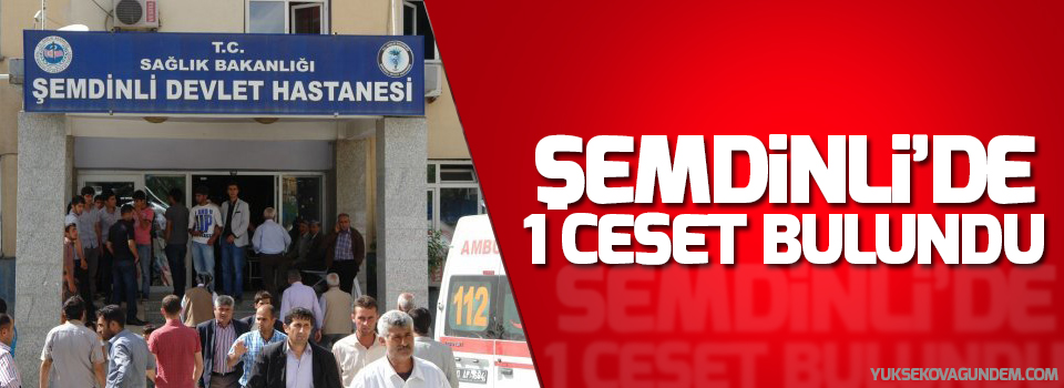 Şemdinli'de 1 kişinin cesedi bulundu