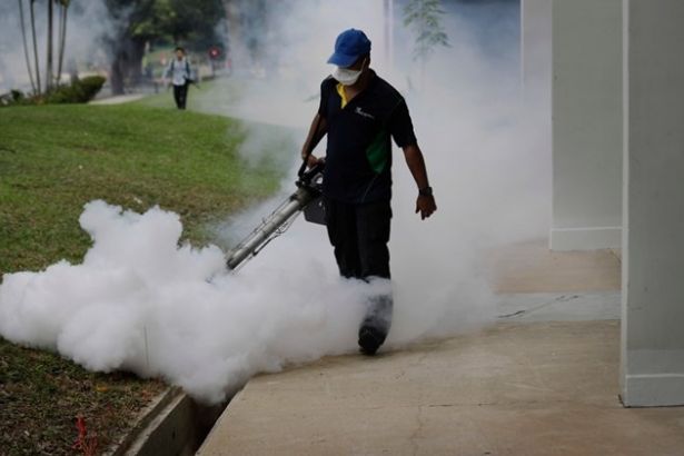 Singapur'da 26 Zika vakasına daha rastlandı