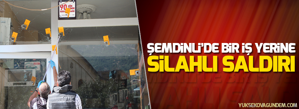 Şemdinli'de bir iş yerine silahlı saldırı