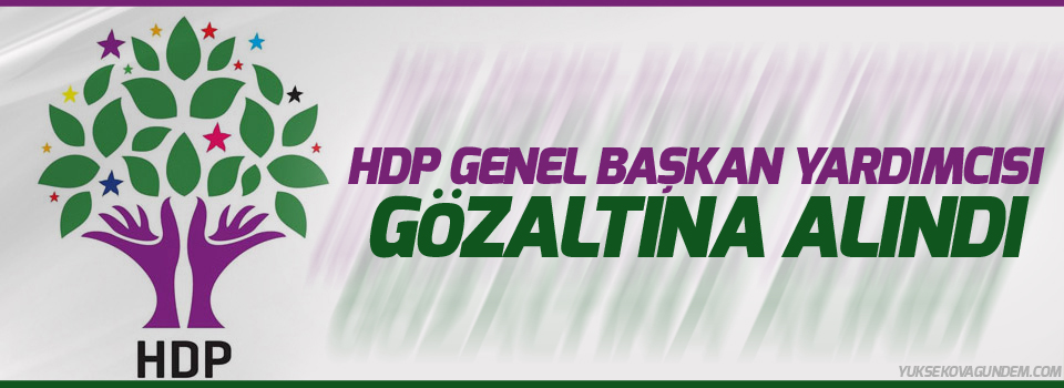 HDP Genel Başkan Yardımcısı gözaltına alındı