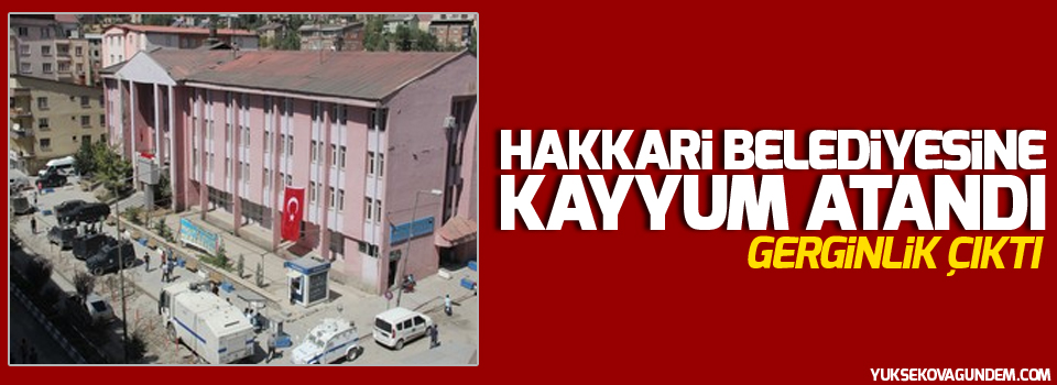 Hakkari'de kayyum gerginliği: 4 gözaltı