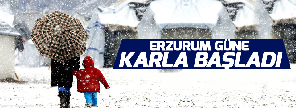 Erzurum kent merkezine mevsimin ilk karı yağdı