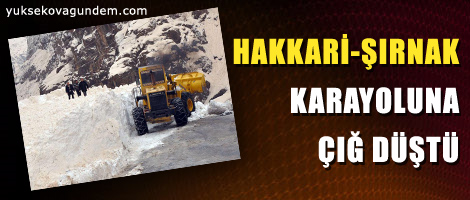 Hakkari-Şırnak karayoluna çığ düştü