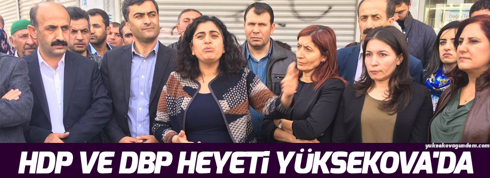 HDP ve DBP heyeti Yüksekova'da