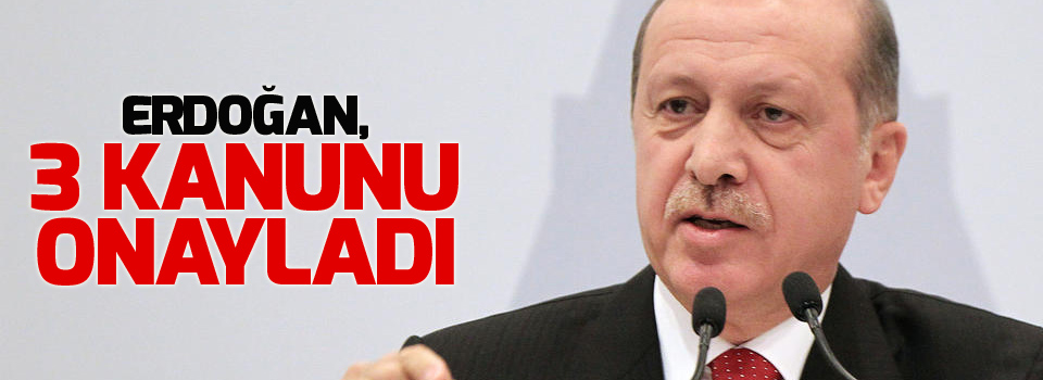 Erdoğan, 3 kanunu onayladı