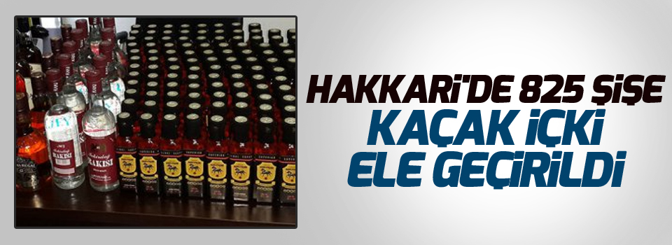 Hakkari'de 825 şişe kaçak içki ele geçirildi