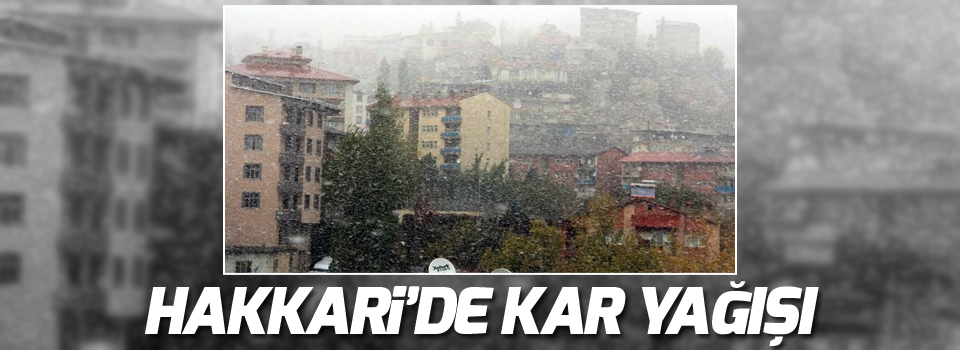 Hakkari'de kar yağışı