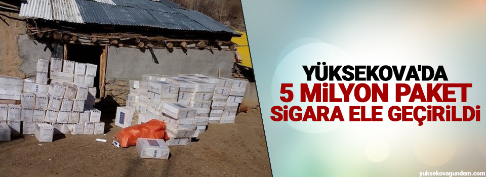 Yüksekova'da 5 milyon paket sigara ele geçirildi