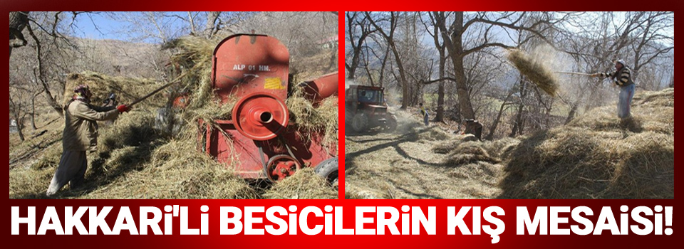 Hakkari'li besicilerin kış mesaisi!