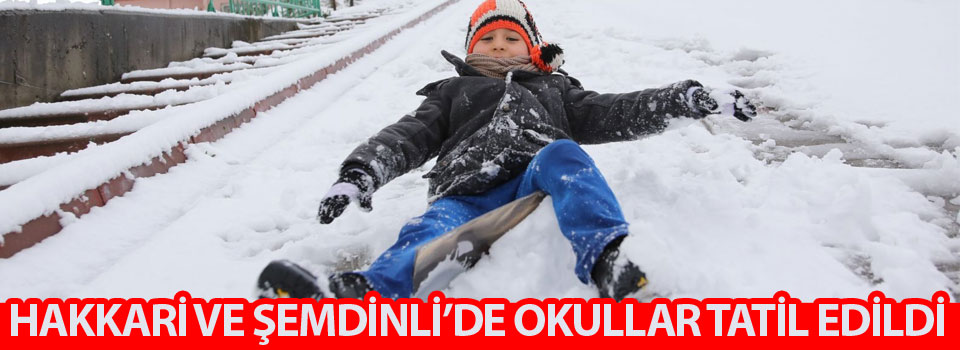 Hakkari ve Şemdinli'de okullar tatil edildi