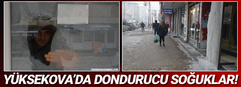 Yüksekova'da dondurucu soğuklar!