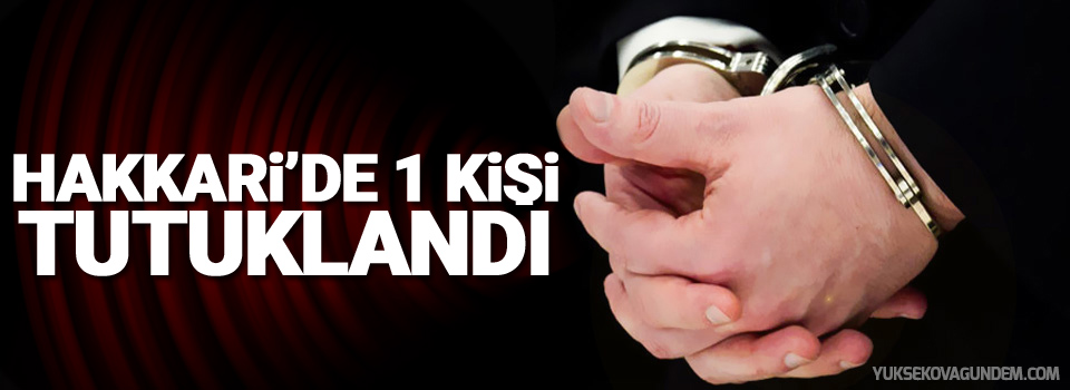 Hakkari'de 1 kişi tutuklandı!