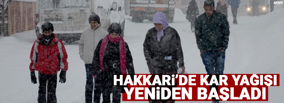 Hakkari’de kar yağışı yeniden başladı