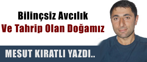 Bilinçsiz avcılık ve tahrip olan doğamız