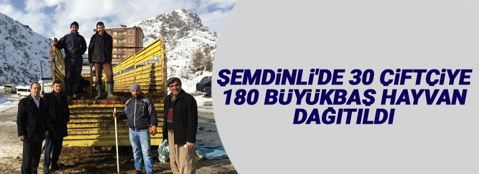 Şemdinli'de 30 çiftçiye 180 büyükbaş hayvan dağıtıldı