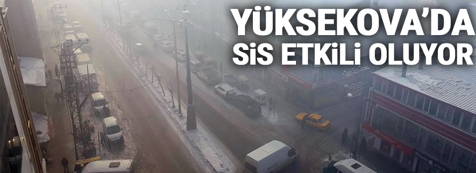 Yüksekova'da sis etkili oluyor