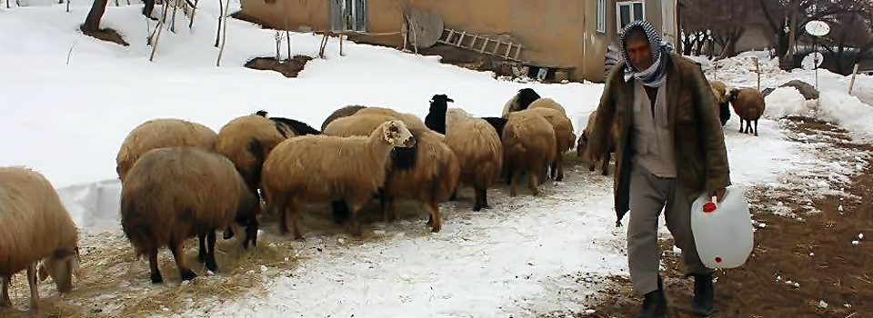 Hakkari'de zorlu kış mesaisi