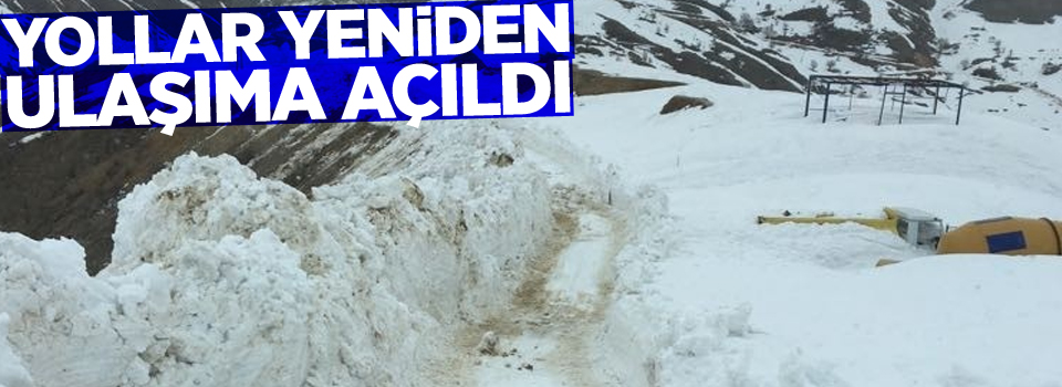 Çığ düşen yollar yeniden açıldı