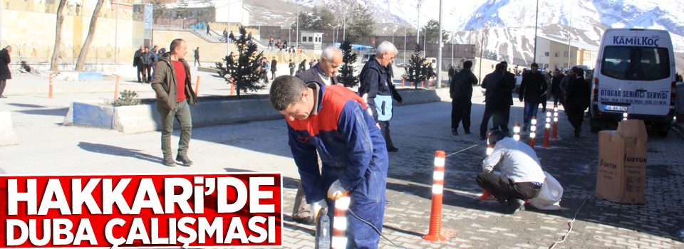 Hakkari’de duba çalışması