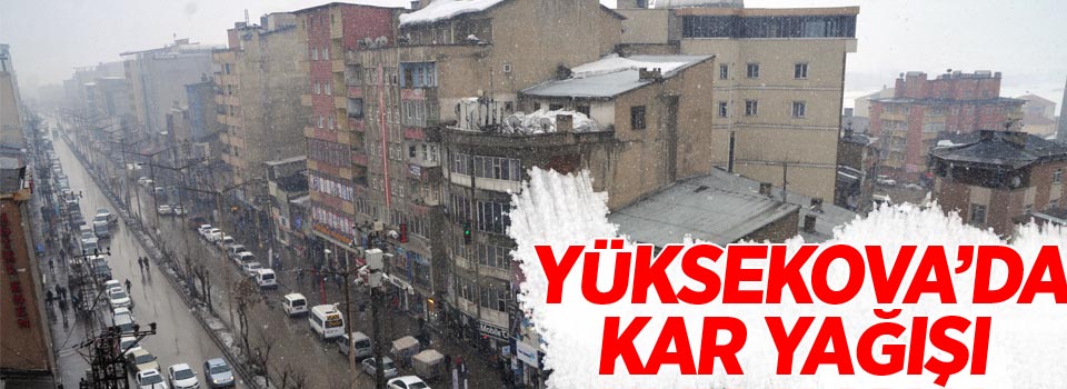 Yüksekova'da kar yağışı