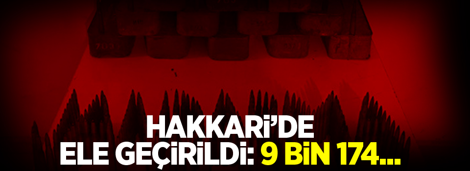 Hakkari'de ele geçirildi