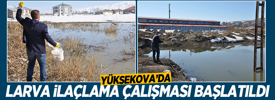 Yüksekova'da Larva İlaçlama Çalışması Başlatıldı