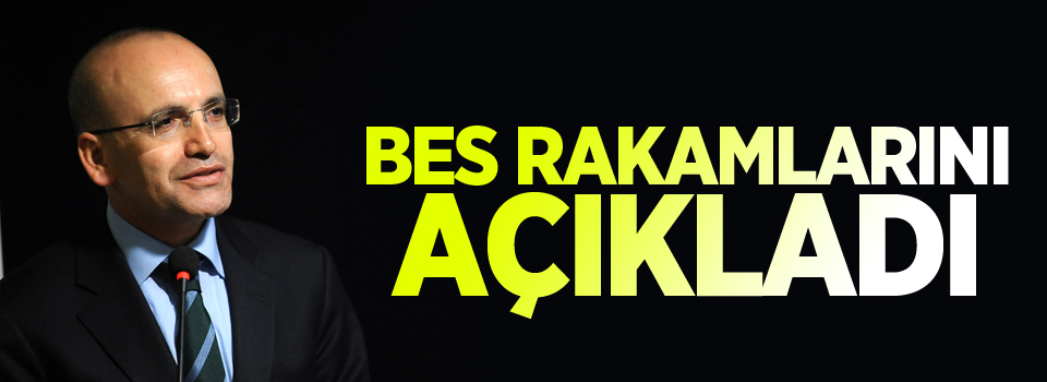 Başbakan Yardımcısı Şimşek, BES rakamlarını açıkladı