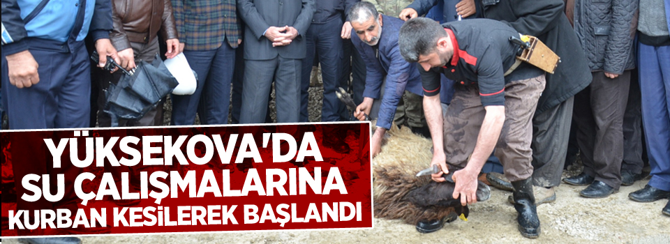 Yüksekova'da su çalışmalarına kurban kesilerek başlandı