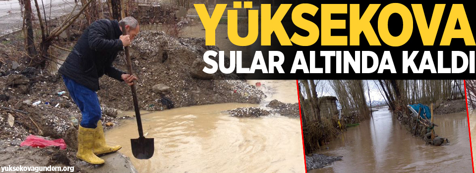 Yüksekova sular altında kaldı