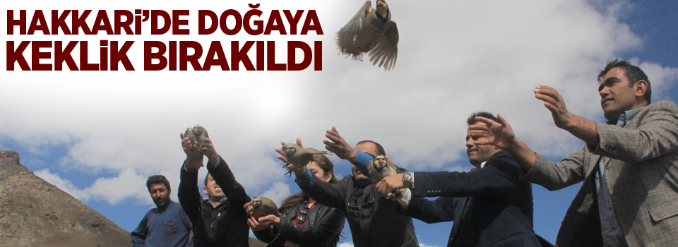 Hakkari’de doğaya keklik bırakıldı