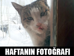 Haftanın Fotoğrafı (3)