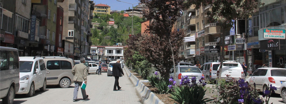 Hakkari yöreye has çiçeklerle renklenecek