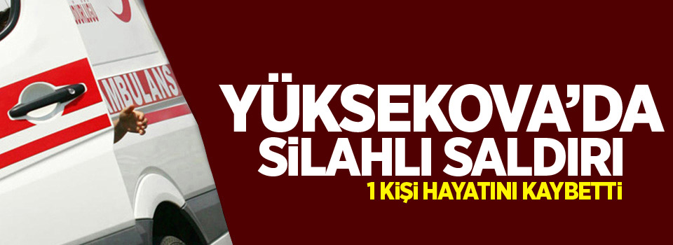 Yüksekova'da silahlı saldırı