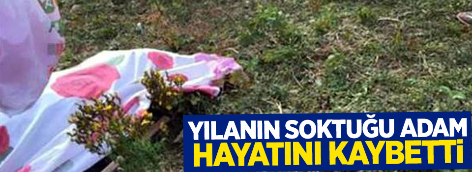 Yılanın soktuğu adam öldü